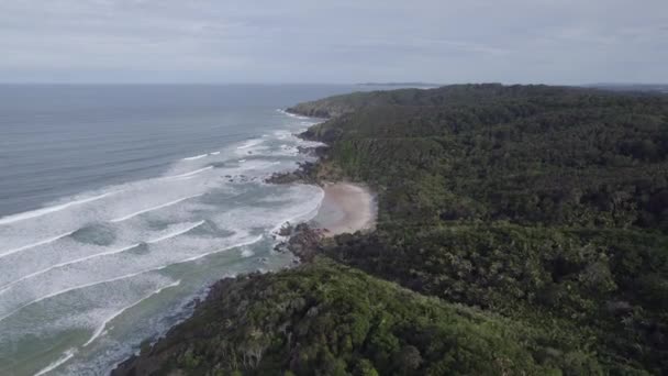 Vliegen Weelderig Regenwoud Broken Head Nature Reserve Afgelegen Stranden Byron — Stockvideo