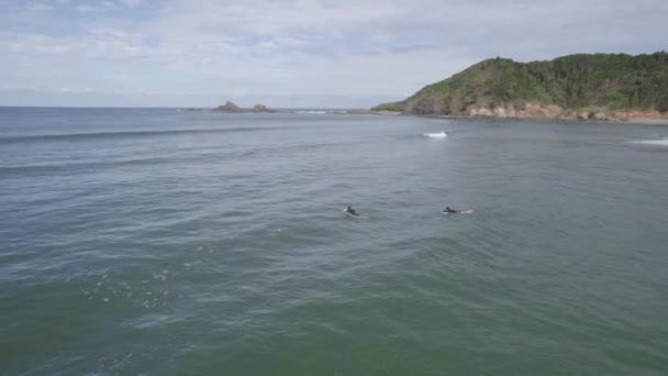 Surfers Secluded Beach Broken Head Byron Bay New South Wales — Vídeos de Stock