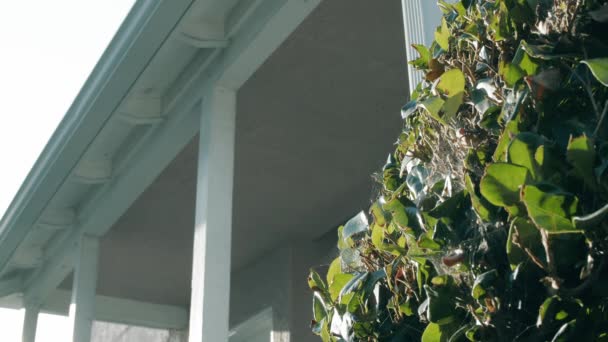 Exterior Establishing Shot Bushes House Porch — Stok video