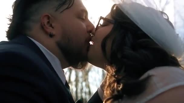Close Portrait Veil Newlywed Couple Kiss Pose Wedding Photo — Vídeos de Stock