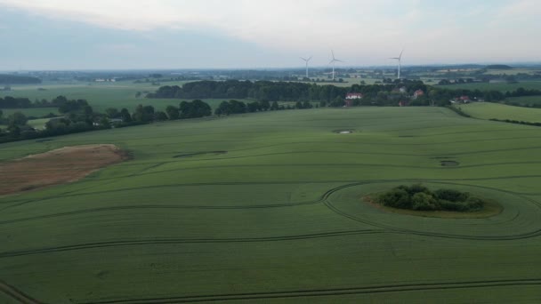 Fling Landscape German Wheat Field — Stock video
