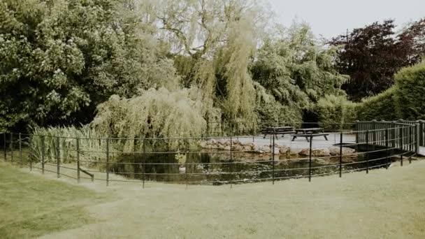 Static Shot Pond Public Gardens — Wideo stockowe