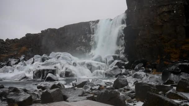 Oxararfoss Waterfall Thingvellir National Park Southern Region Iceland — Stockvideo