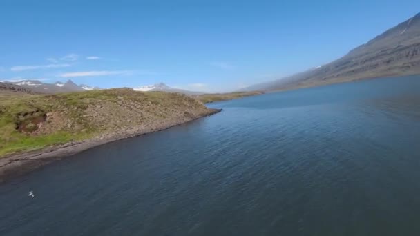 Fpv Aerial Iceland Coastline — ストック動画
