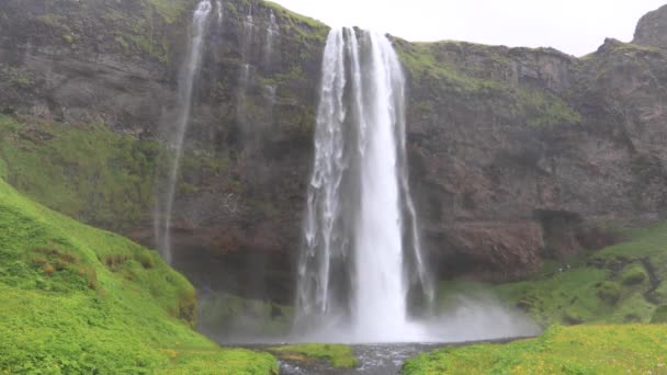 Islândia Cachoeira Seljalandsfoss Frente — Vídeo de Stock