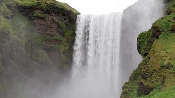 Iceland Waterfall Skogafoss Front — ストック動画