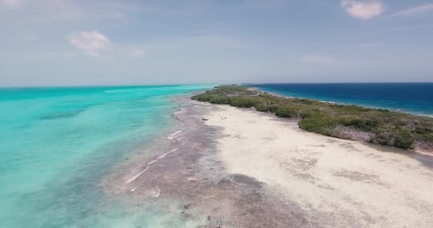 ターコイズブルーの水のサンゴ礁の障壁とマングローブで区切られたオープン海 右側のパンを旅する航空ビュー — ストック動画