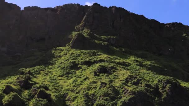 Islândia Montanha Com Pássaros — Vídeo de Stock