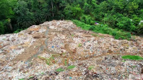 Flying Garbage Dump Birds Sao Tome Africa — Vídeos de Stock