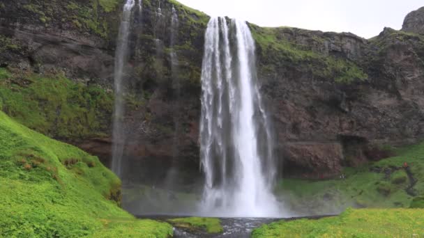 Iceland Waterfall Seljalandsfoss — Stok video