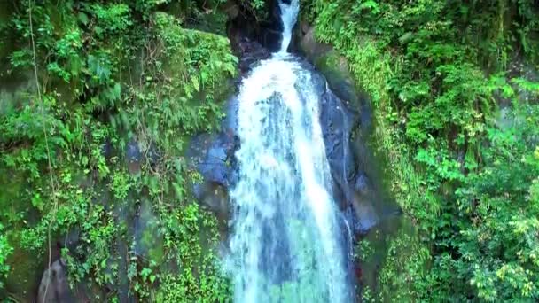 Close View Sao Nicolau Waterfall Sao Tome Africa — Stok Video