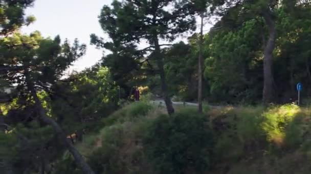 Flying Forest Andalusia Spain — Vídeo de Stock