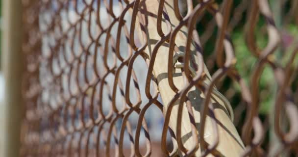 Rack Focus Chain Link Fence Close Rikers Island Jail Sign – Stock-video