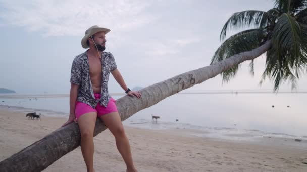 Blanke Man Rustend Gebogen Palm Eiland Tropisch Strand Aan Zee — Stockvideo