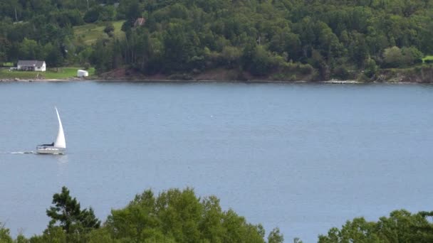 White Sailboat Moving Slowly Lake Distance — Vídeo de Stock