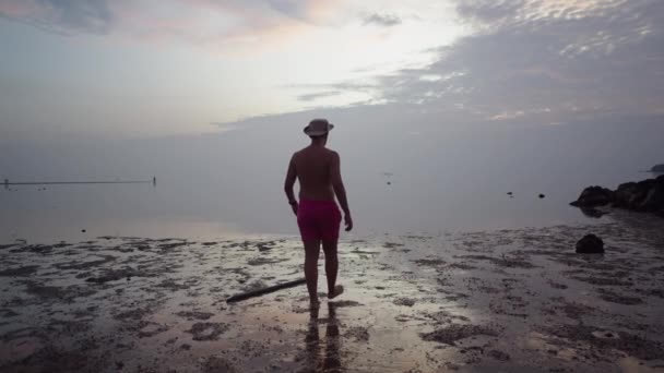 Back View Silhouetted Man Traveler Walking Sea Enjoying Seaside Dramatic — Video