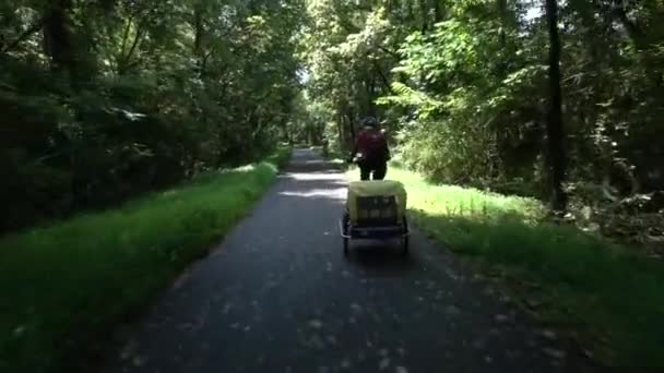 Woman Pulling Trailer Her Bike Other People Biking Paved Trail — Stock video