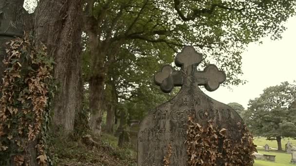 Přerostlý Náhrobní Kámen Hřbitově — Stock video