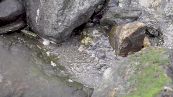 Water Running Waterfall Fjord Rocks — Vídeo de stock