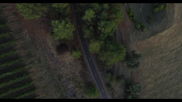 Drone Running Road Wide Angle — Vídeo de stock