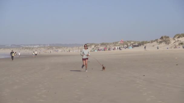 Mulher Correndo Com Cão Chihuahua Praia — Vídeo de Stock