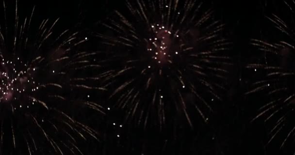 Fireworks Shot Cannes Pyrotechnic Festival — Stockvideo
