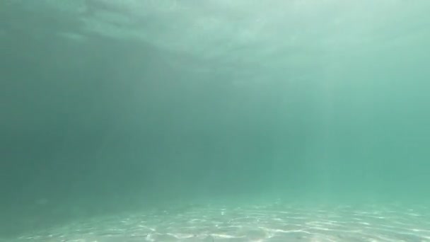 Water Films — Stock Video