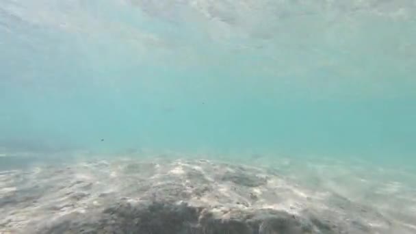 Sotto Sopra Pellicole Dell Acqua — Video Stock