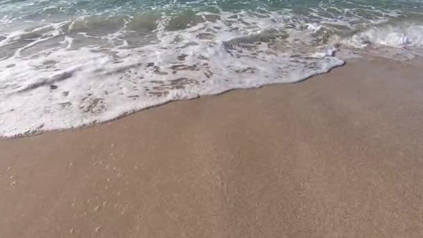 Повільні Хвилі Пляжі — стокове відео