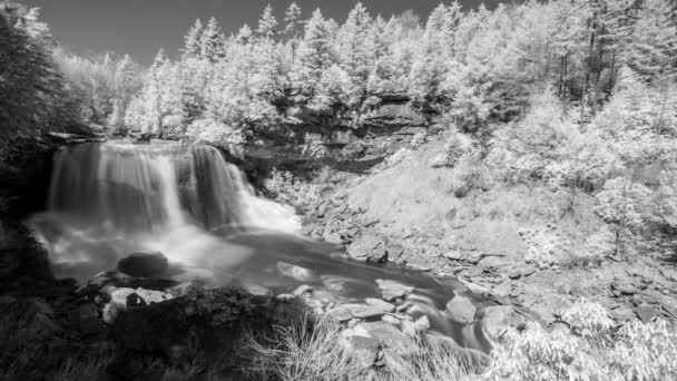 Black White Infrared Cinemagraph Blackwater Falls Pours Water Gorge West — ストック動画
