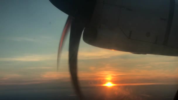 Volando Atardecer — Vídeo de stock