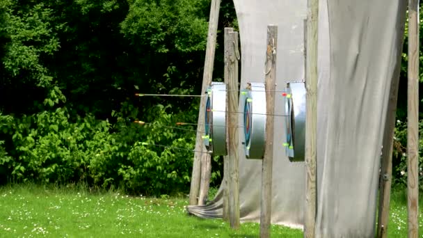 Arrows Hitting Target Atmospheric Setting — ストック動画