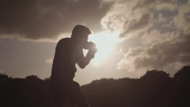 Man Boxing Park Sun Him Slow Motion — Stockvideo