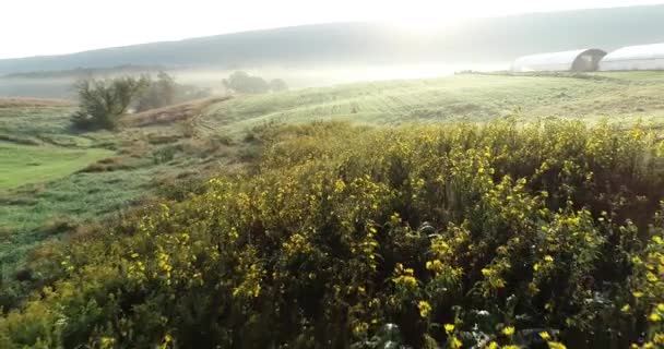 Aerial Camera Backing Away Rising Sun Showing Fog Mountains Greenhouses — Video Stock