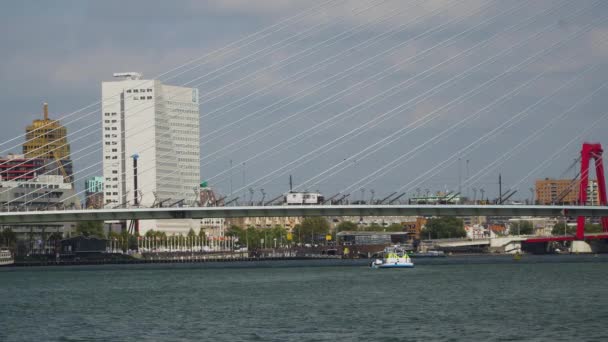 Traffic Erasmus Bridge Rotterdam Boats — Stock Video