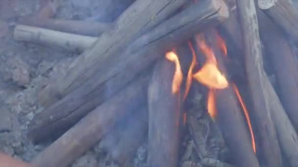 Kindle Wood Fire Burning — Stok video