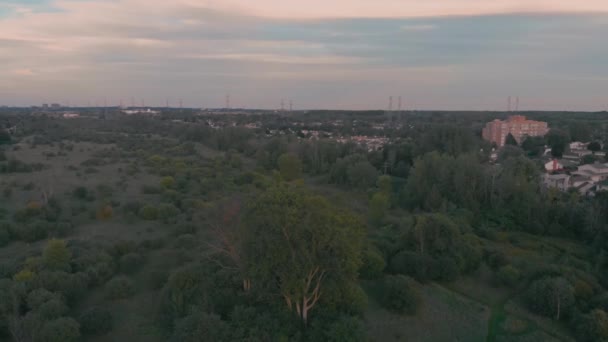 Inquadratura Aerea Circolare Ontario Europeo Che Libra Parco Con Alberi — Video Stock