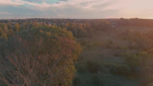Slow Aerial Flight Circeling Tree Nepean City Ontario Sunset Sun — Stockvideo