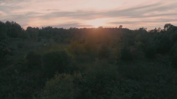Slow Aerial Flight Tree Highway Nepean City Ontario Sunset Sun — Stok video