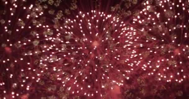 Fireworks Shot Cannes Pyrotechnic Festival — Video Stock