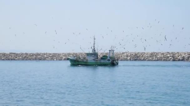 Fishing Boat Returning Harbour Followed Seagulls — Stockvideo