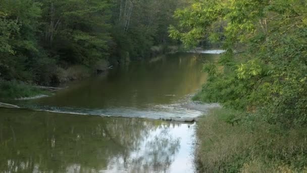 River Mangfall Flowing Munich Bavarian Alps — Video Stock