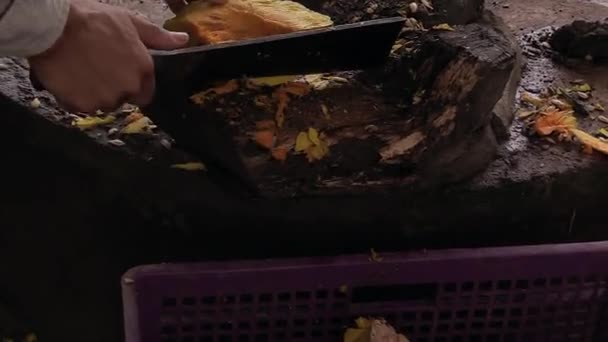 Chopping Thai Pumpkin Machete Elephant Food — Wideo stockowe