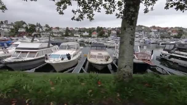 Petit Bateau Port Jour Automne — Video