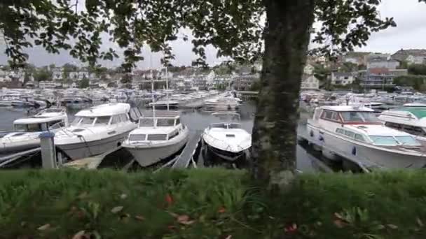 Small Boat Harbor Fall Day — Stok video