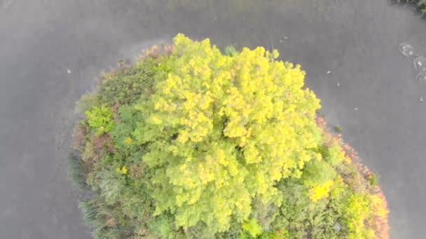 Flying Away Tree Island Pond Cloudy Summer Day Green Blue — Stockvideo