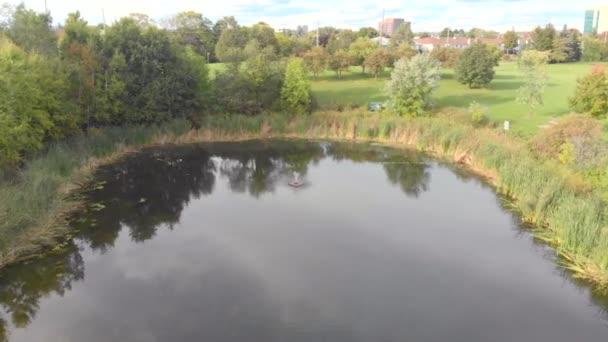 Aerial Footage Flying Tree Island Pond Looking Fountain Pond — Vídeos de Stock