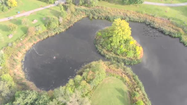 Luftaufnahmen Von Einem Teich Form Einer Erdnuss Mit Einem Baum — Stockvideo