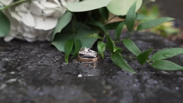 Wedding Rings Bouquet Wet Rocks — Video Stock