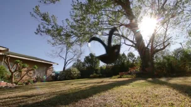 Empty Swing Tree Swinging Garden — Stockvideo